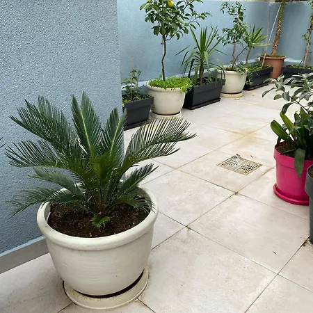 Vila-amo, Suites&rooms In Center 3*